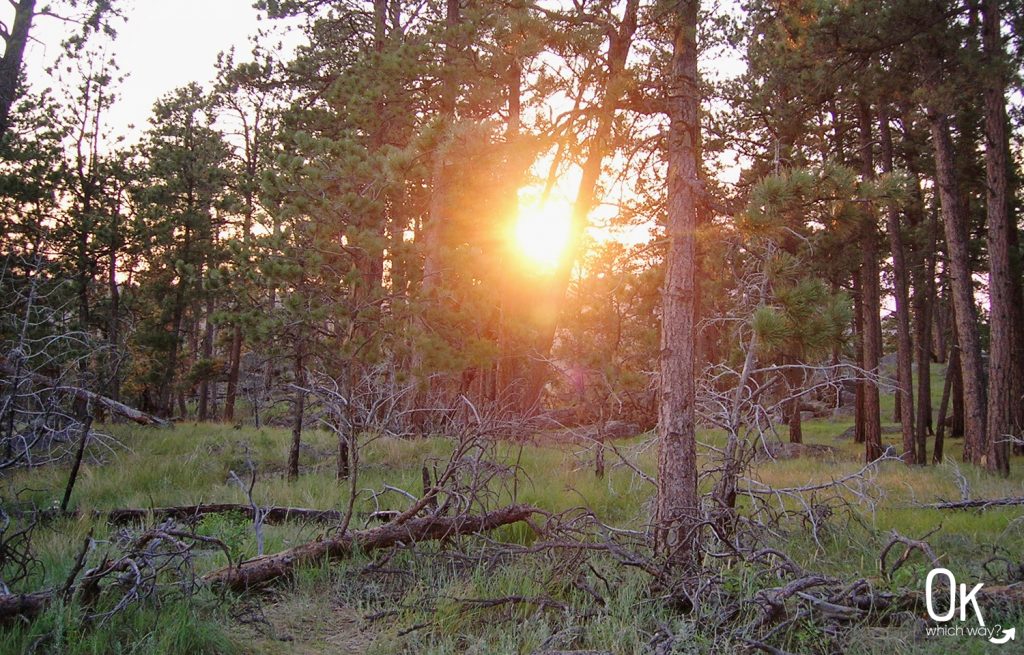 Exploring Devils Tower National Monument | Ok, Which Way?