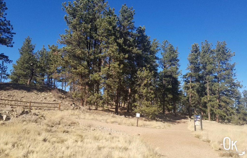 Florissant Fossil Beds National Monument | Petrified Forest Loop | Ok, Which Way?