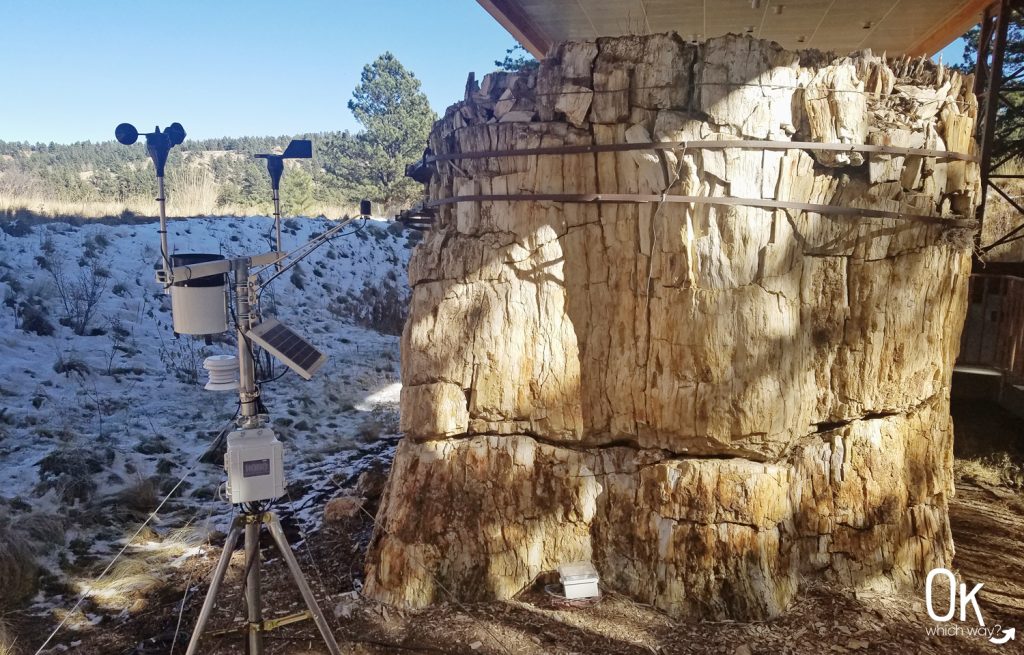 Florissant Fossil Beds National Monument | protected redwood stump | Ok, Which Way?