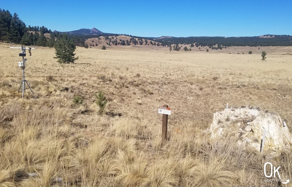 Florissant Fossil Beds National Monument | Petrified Forest Loop | Ok, Which Way?