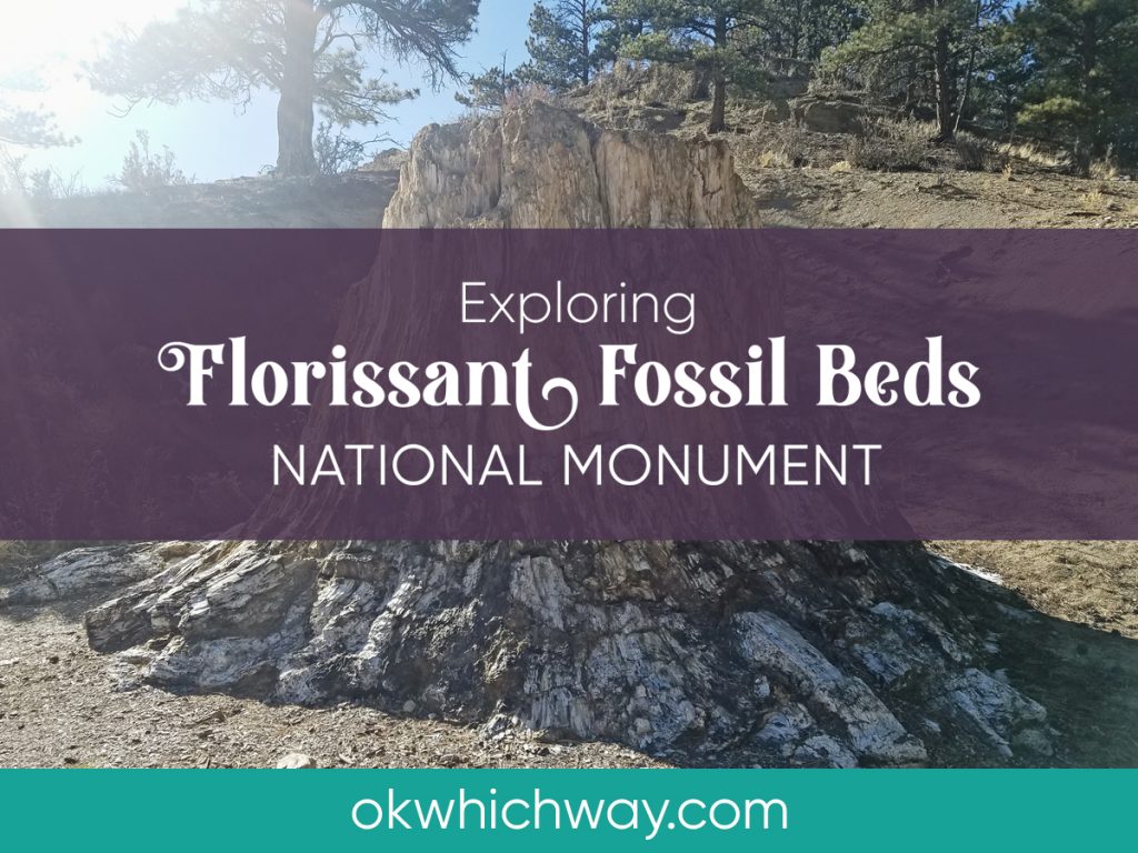 Exploring Florissant Fossil Beds National Monument | Ok, Which Way?