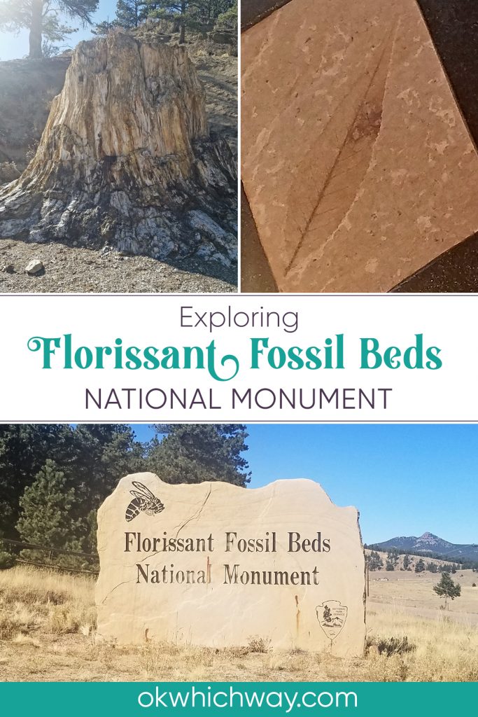 Exploring Florissant Fossil Beds National Monument | Ok, Which Way?