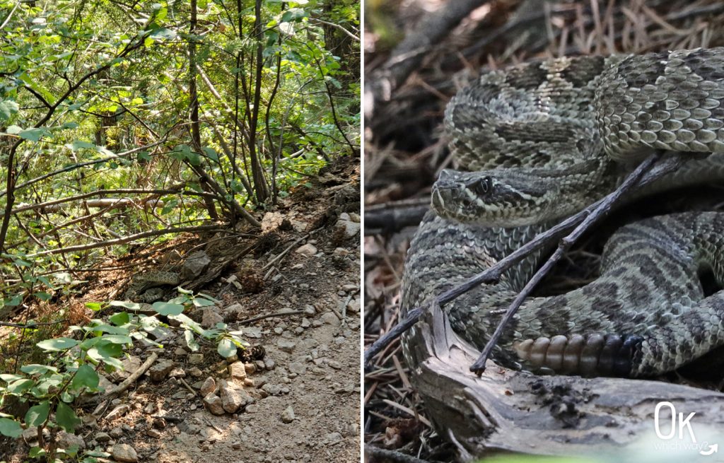 Rattlesnake Gulch Eldorado State Park | Ok, Which Way?