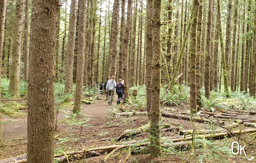 Trail Review: Fort to Sea Trail, Oregon | OK Which Way