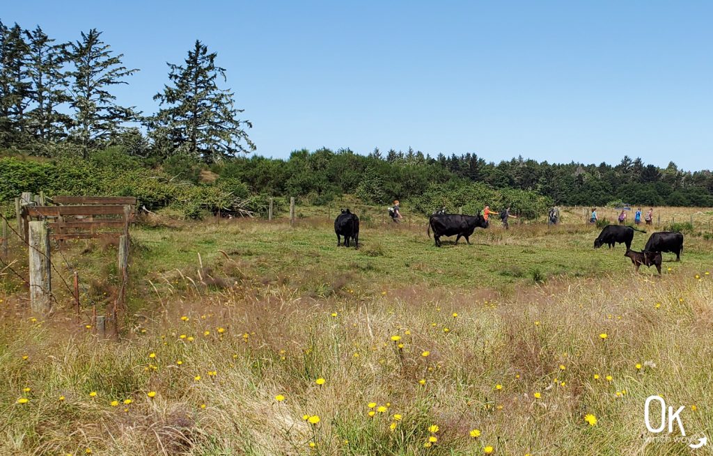 Fort to Sea Trail Lewis and Clark National Historic Park | OK which way