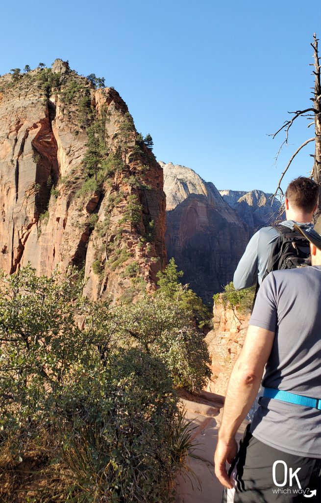 Angels Landing sandstone spine Zion National Park | OK Which Way