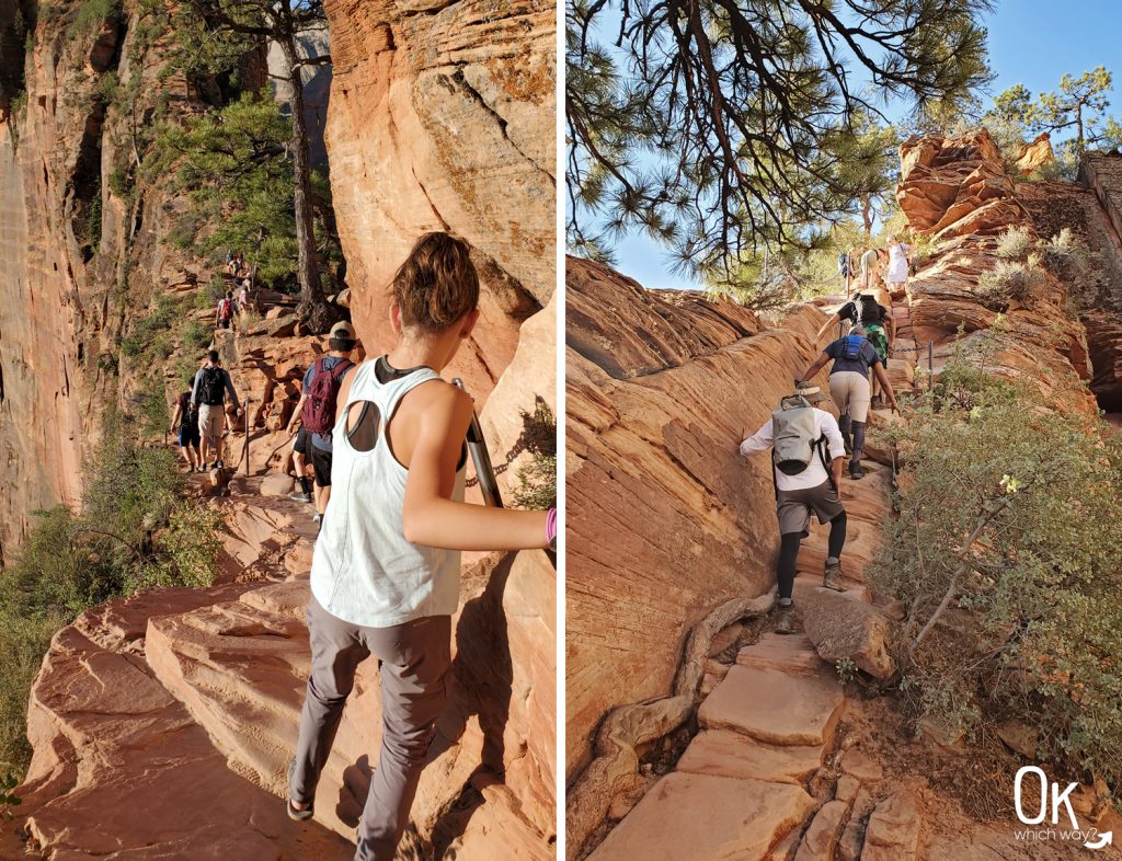 Trail Review: Angels Landing at Zion National Park | OK Which Way