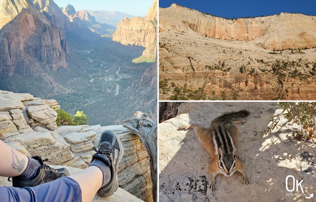 Trail Review: Angels Landing at Zion National Park | OK Which Way