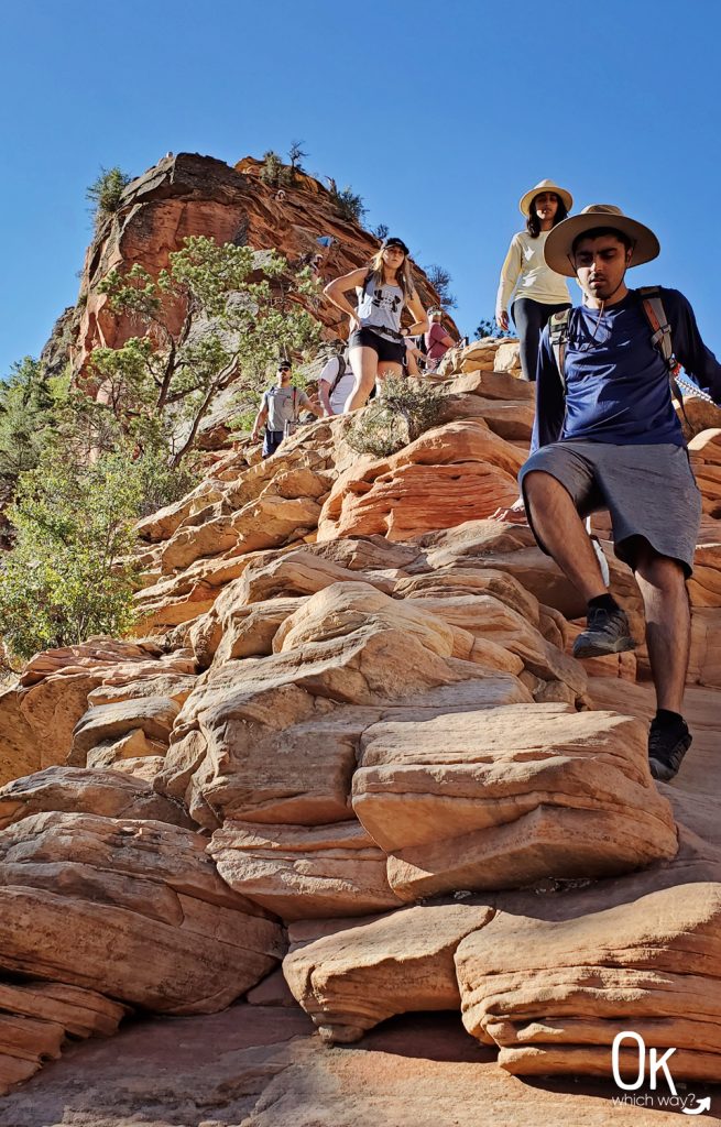 Trail Review: Angels Landing at Zion National Park | OK Which Way