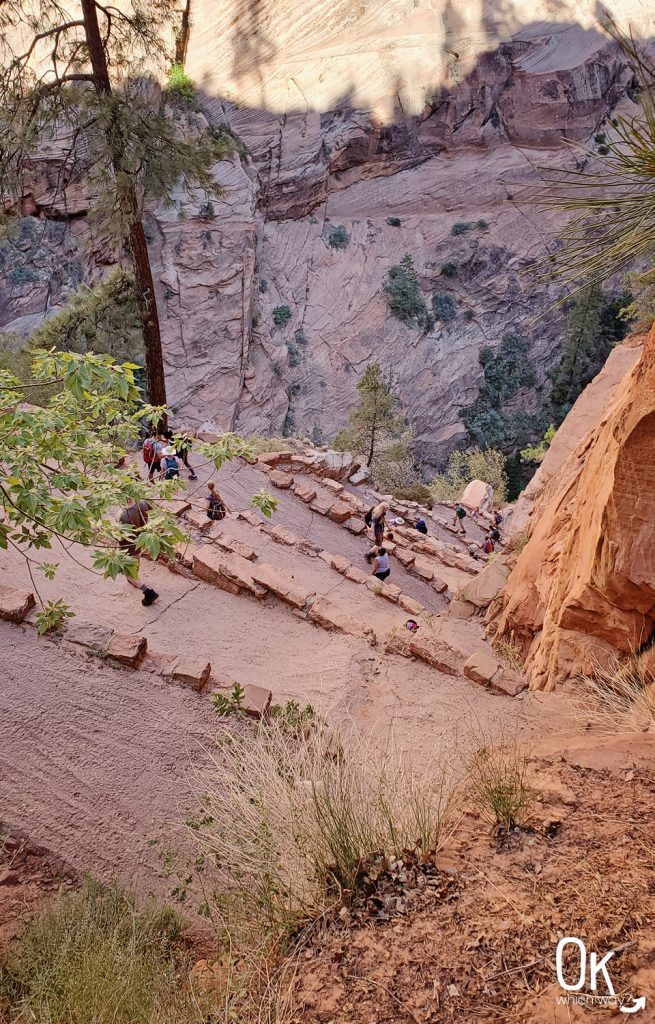 Walters Wiggles West Rim Trail Zion National Park | OK Which Way