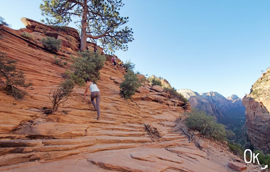 Trail Review: Angels Landing at Zion National Park | OK Which Way