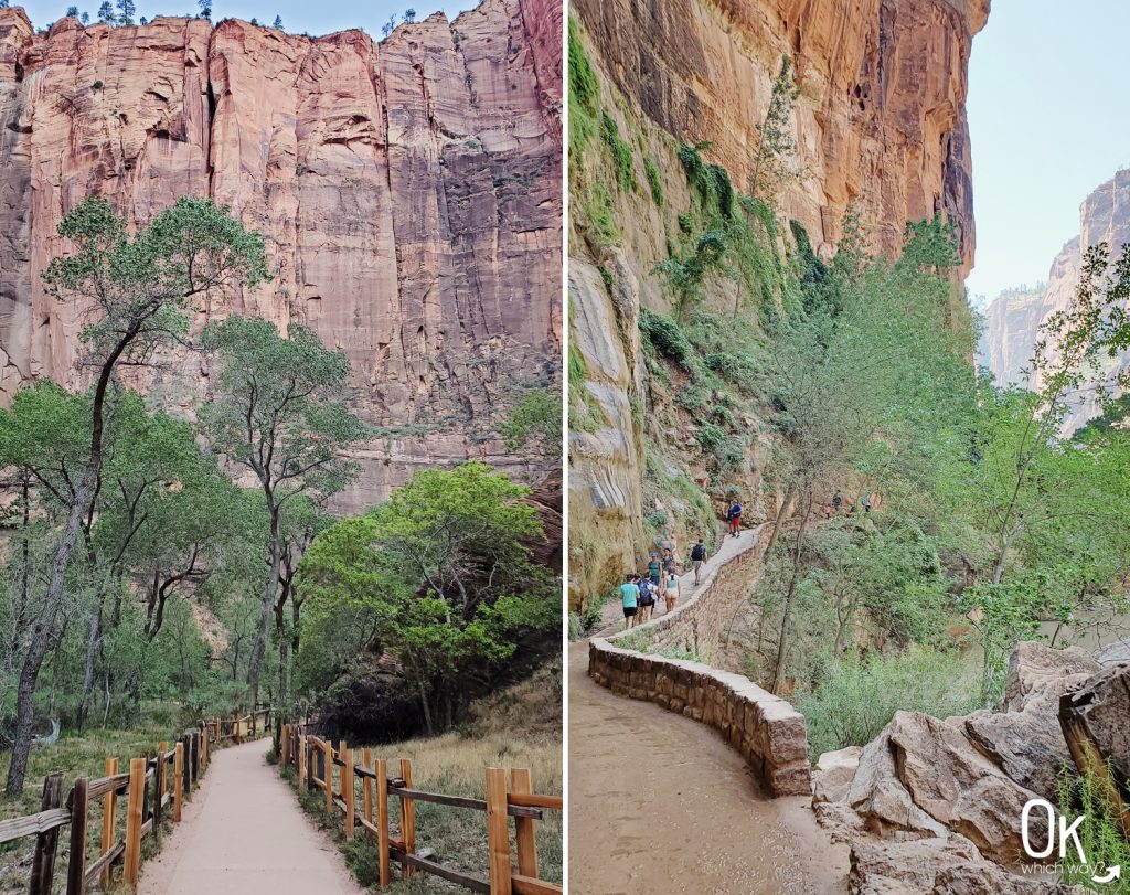 Trail Review: Riverside Walk Zion National Park | OK Which Way