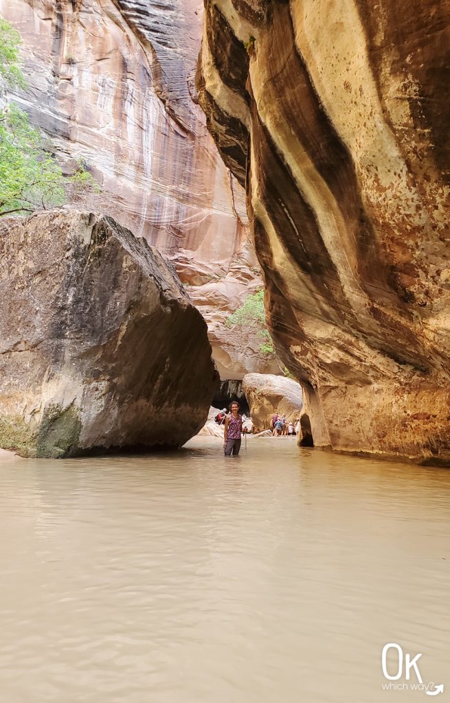 Trail Review: The Narrows Bottom Up at Zion National Park | OK Which Way