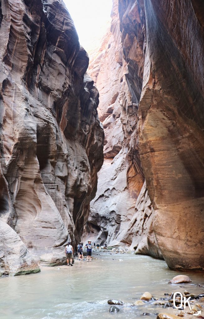 The Narrows Slot Canyon Zion National Park | OK Which Way