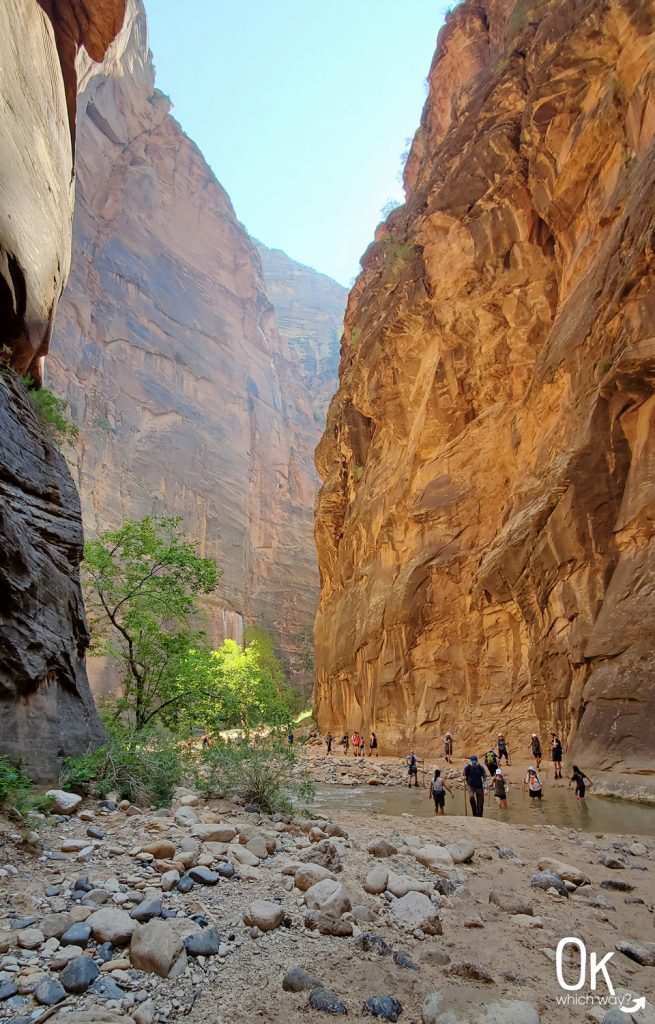 Trail Review: The Narrows Bottom Up at Zion National Park | OK Which Way