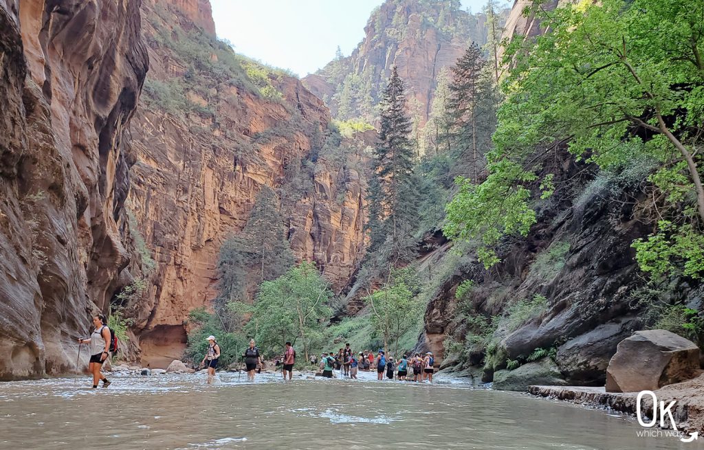 The Narrows Virgin River crossing Zion National Park | OK Which Way