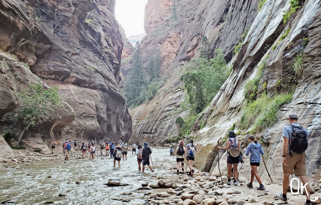 Trail Review: The Narrows Bottom Up at Zion National Park | OK Which Way