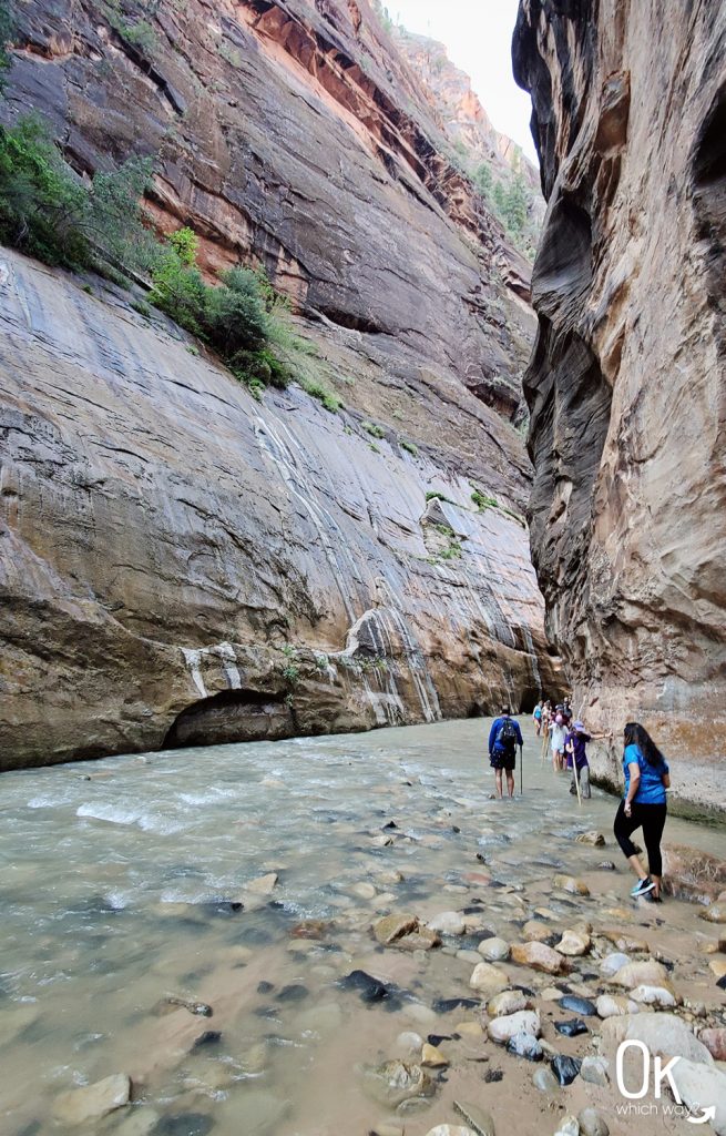 Trail Review: The Narrows Bottom Up at Zion National Park | OK Which Way