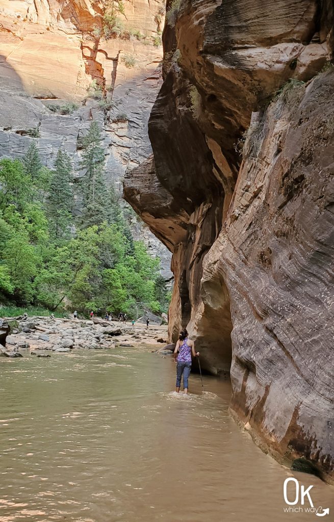 Trail Review: The Narrows Bottom Up at Zion National Park | OK Which Way