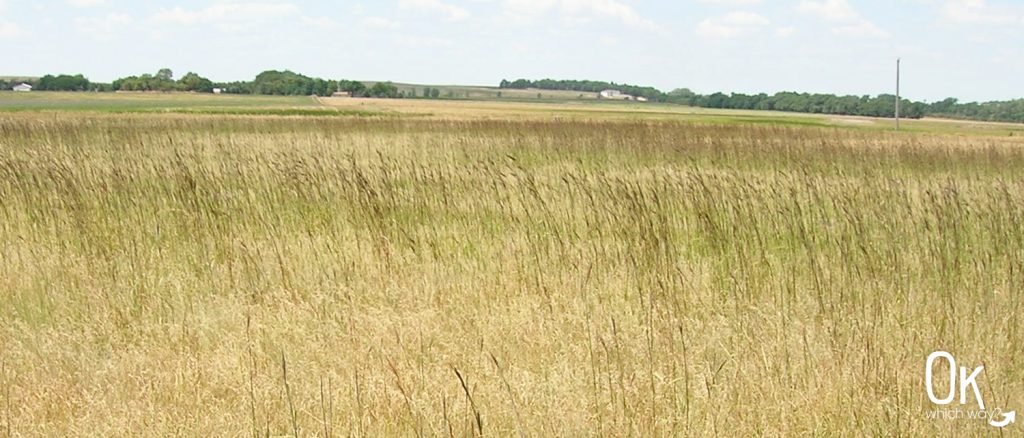 Laura Ingalls Wilder in De Smet - Ingalls Homestead | Ok Which Way