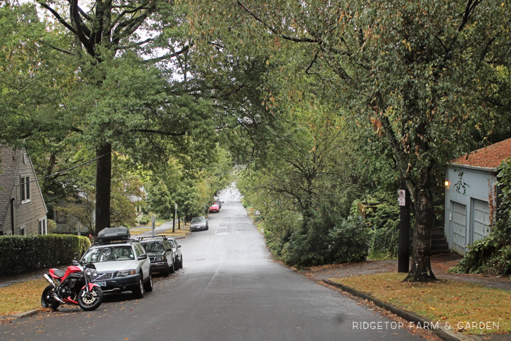 The Cullen House in Portland Pearl District | OK Which Way