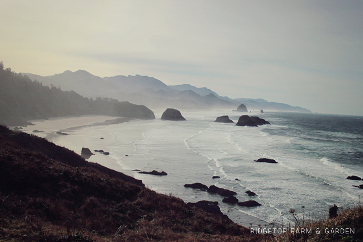 Visiting Ecola State Park | Ecola Point | OK Which Way