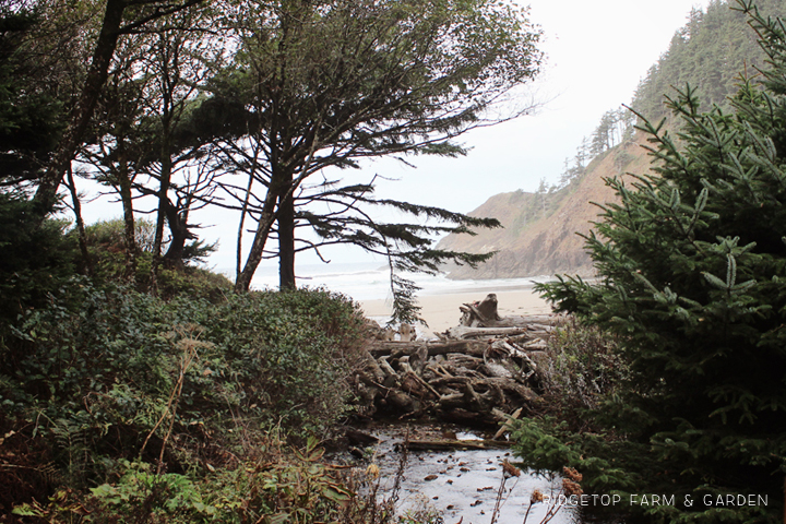 Visiting Ecola State Park | Indian Beach | OK Which Way