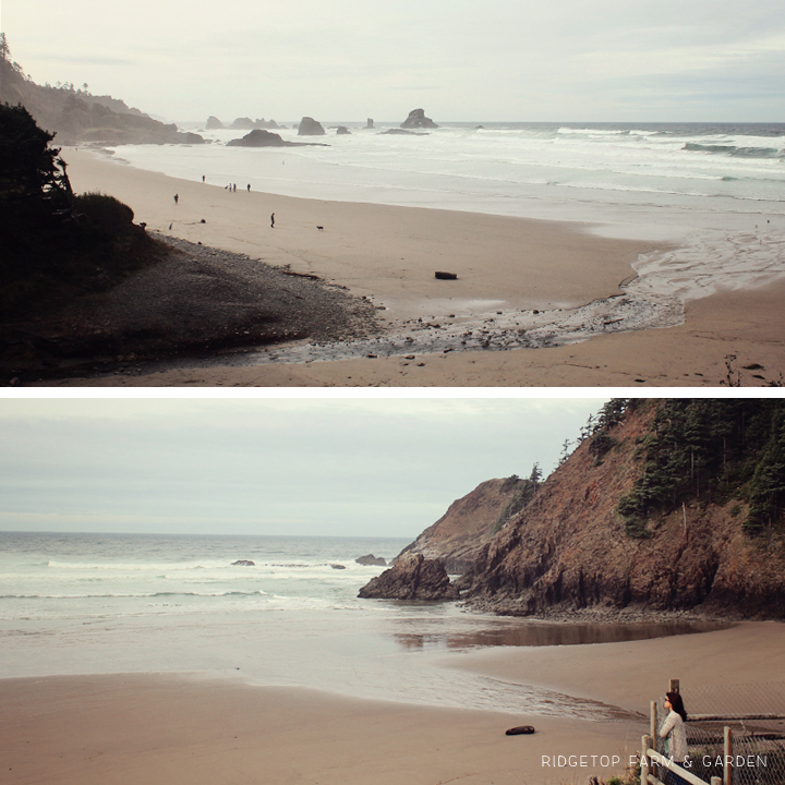 Ecola State Park | Oregon Coast | OK Which Way