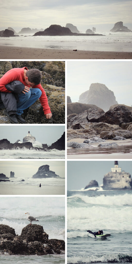 Ecola State Park | Submarine Rock | Terrible Tilly | OK Which Way