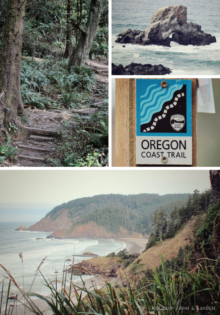 Visiting Ecola State Park Oregon | OK Which Way