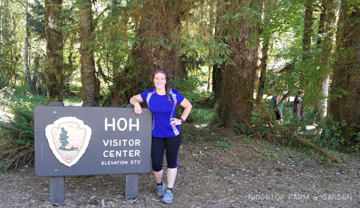 Running a half marathon at Olympic National Park | OK Which Way