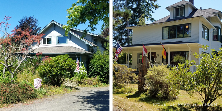 Twilight in Forks and LaPush Wahington | OK Which Way