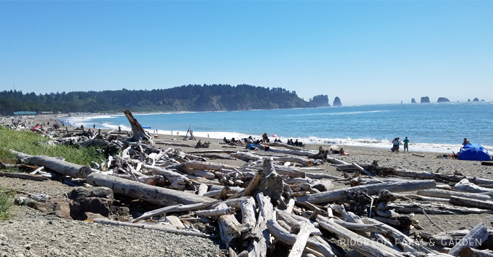 LaPush Washington | OK Which Way