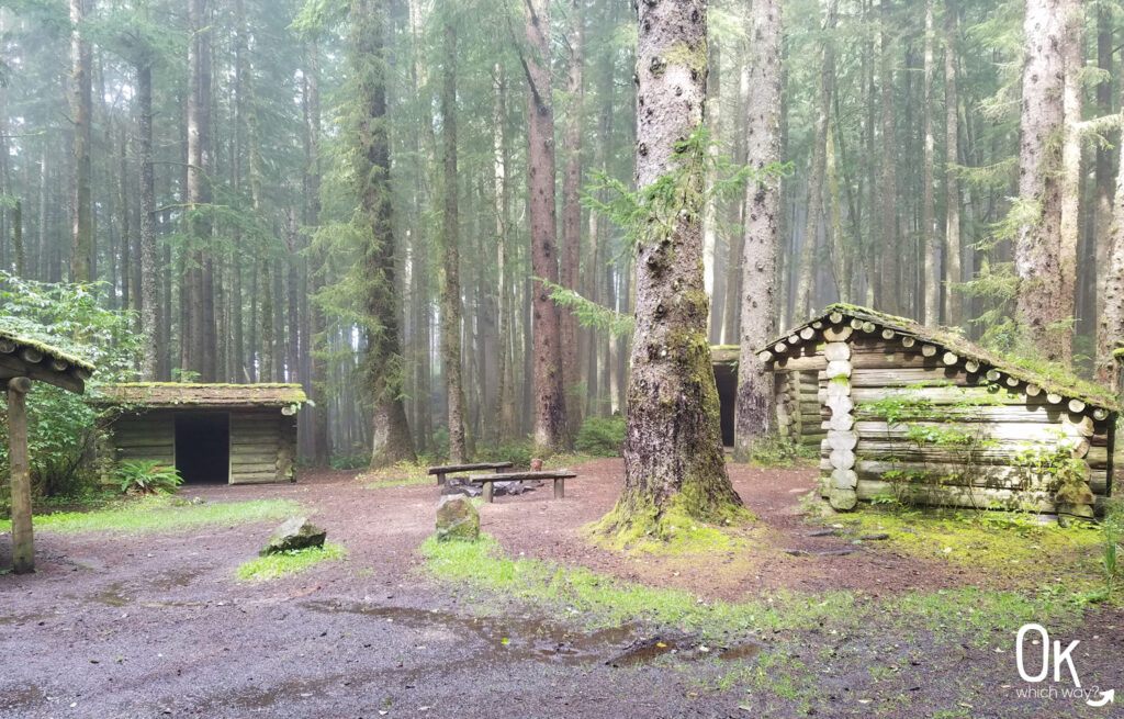 Clatsop Loop Trail Review | Hiker Camp | Ok Which Way