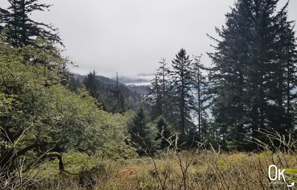 Clatsop Loop Trail Review | Pacific Ocean | Ok Which Way