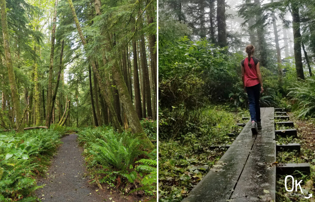 Clatsop Loop Trail Review | Ok Which Way