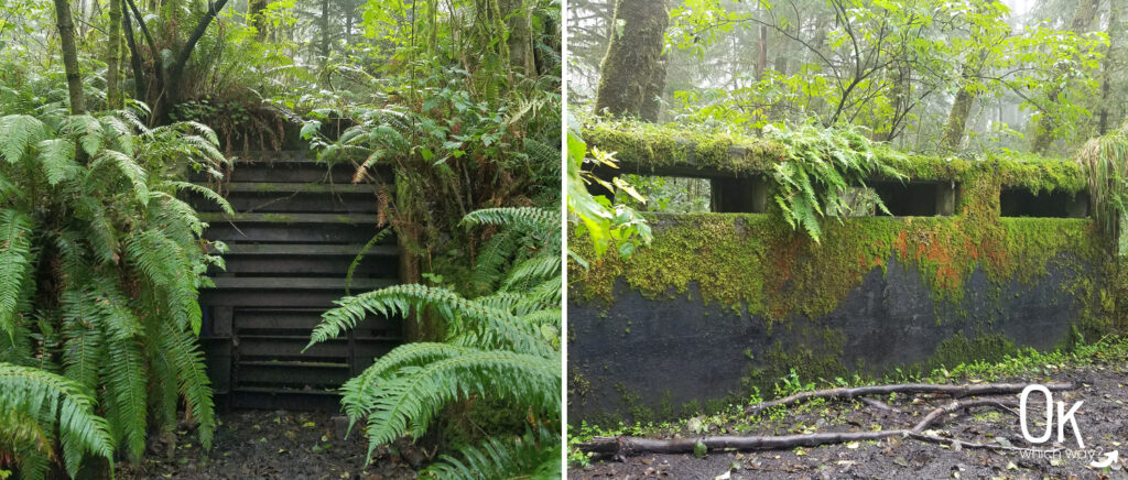 Clatsop Loop Trail Review | WWII bunker | Ok Which Way
