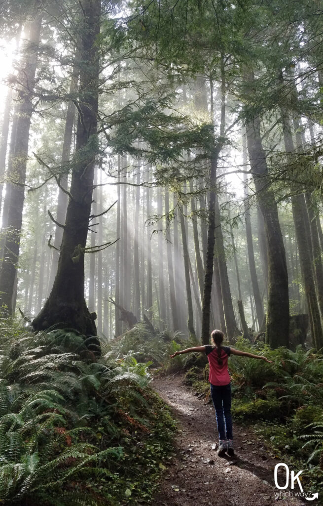 Clatsop Loop Trail Review | Ok Which Way