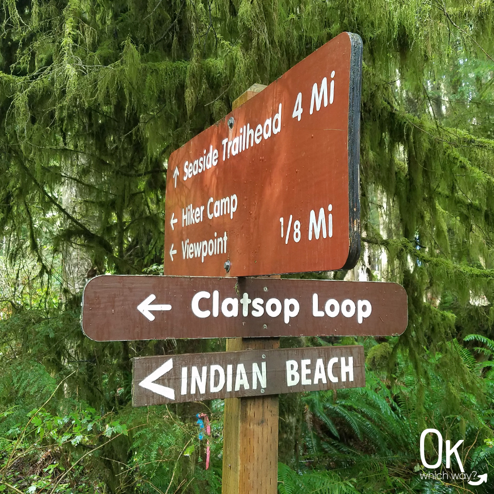 Clatsop Loop Trail Review | Ok Which Way