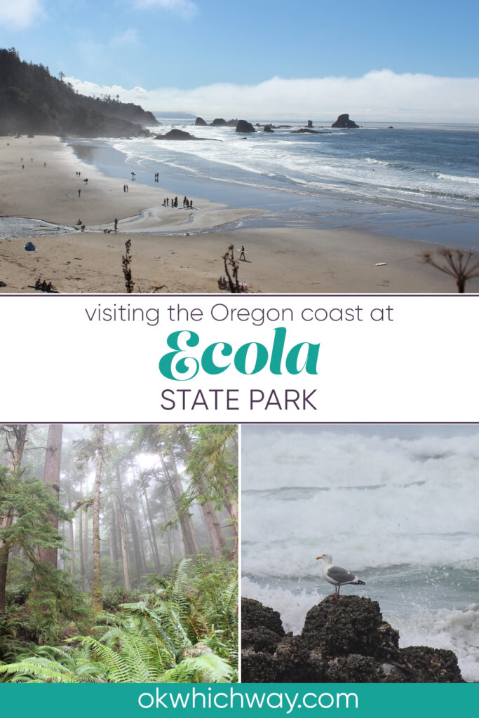 Visiting the Oregon Coast at Ecola State Park | OK Which Way