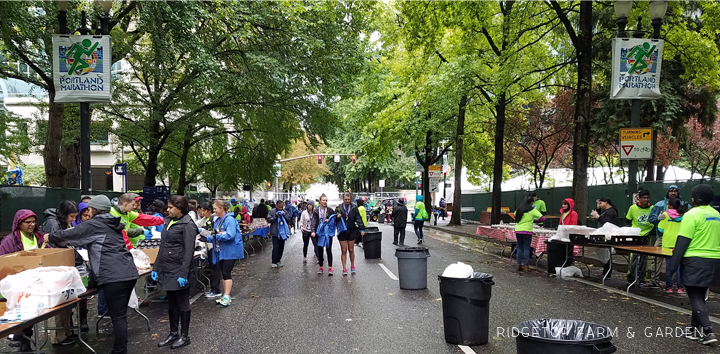 Portland Marathon Race Recap | OK Which Way