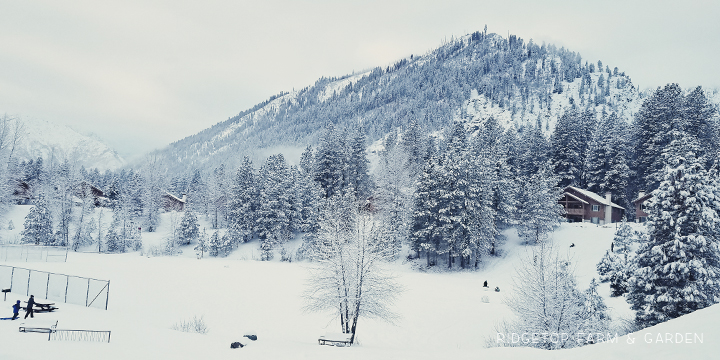 Snow Sledding Enchantment Park | OK Which Way