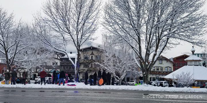 Snow sledding in Leavenworth Washington | OK Which Way