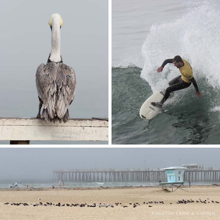 Oregon to Grand Canyon Road Trip | Pismo Beach | OK, Which Way?