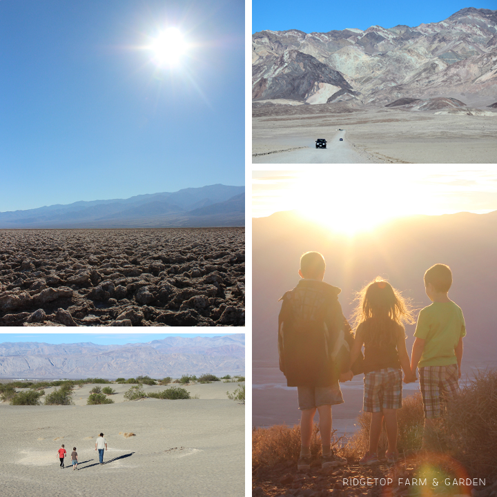 Oregon to Grand Canyon Road Trip Death Valley National Park | OK, Which Way?