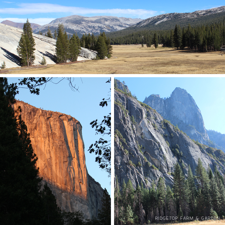 Oregon to Grand Canyon Road Trip Yosemite National Park | OK, Which Way?