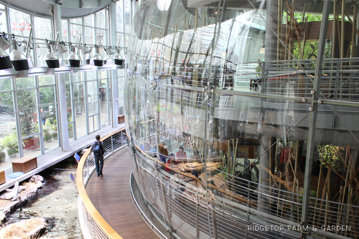 California Academy of Sciences Rainforest Dome