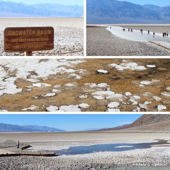 Exploring Death Valley National Park | Badwater Basin | OK, Which Way?