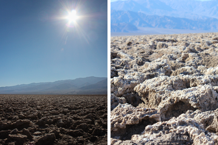 Exploring Death Valley National Park | Devil's Golf Course | OK, Which Way?