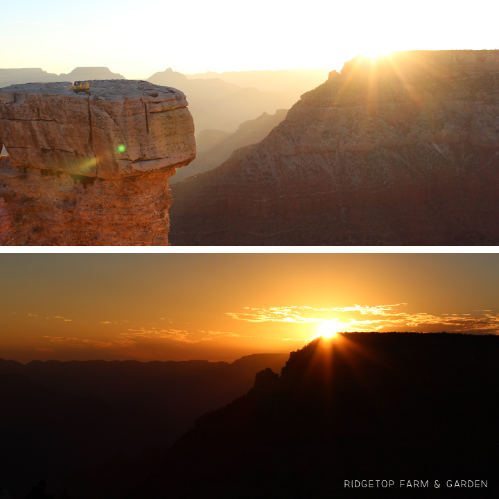 Grand Canyon National Park South Rim Sunrise | Ok, Which Way?